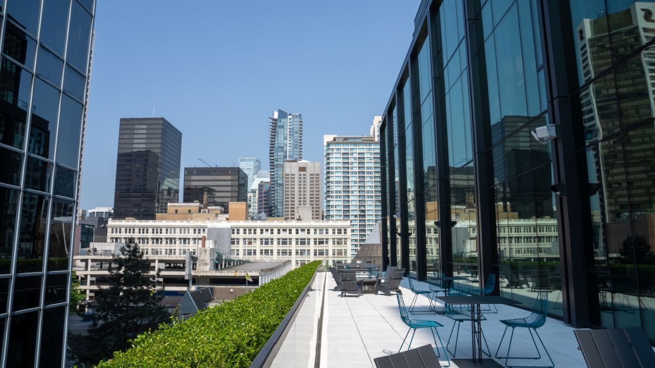 Contemporary commercial interior — Commercial Works — Andeva Designs